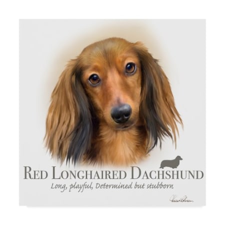 Trademark Fine Art Howard Robinson 'Red Longhaired Dachshund' Canvas Art, 24x24 ALI24065-C2424GG